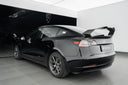 TECOOLE Doppelschicht-Carbon Heckspoiler