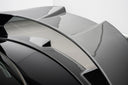 TECOOLE Doppelschicht-Carbon Heckspoiler